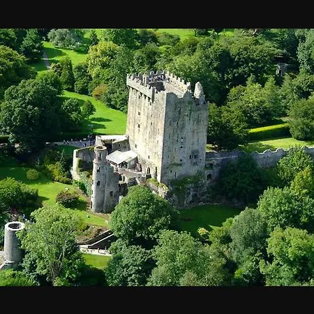 Heights * Blarney